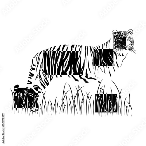 Fototapeta Naklejka Na Ścianę i Meble -  The tiger in negative rectangles on white background  
