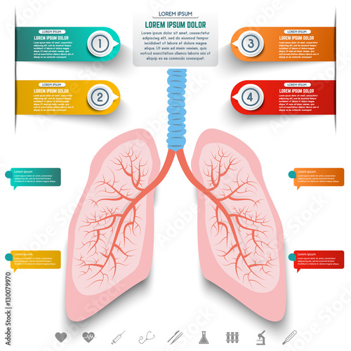 Abstract human lung from dots and lines. Set of colorful infographic elements and medicine icons. Design elements for websites, motion graphic, banners. Vector illustration.