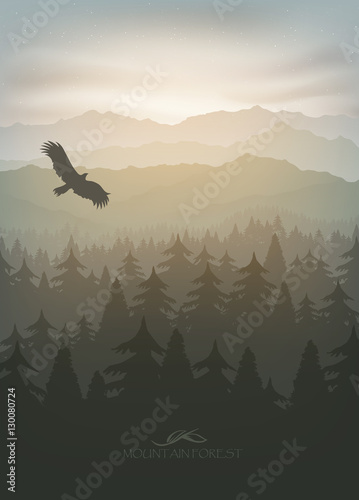mountain forest in fog and sunrise