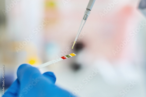 Laboratory technician working with test strips indicator paper