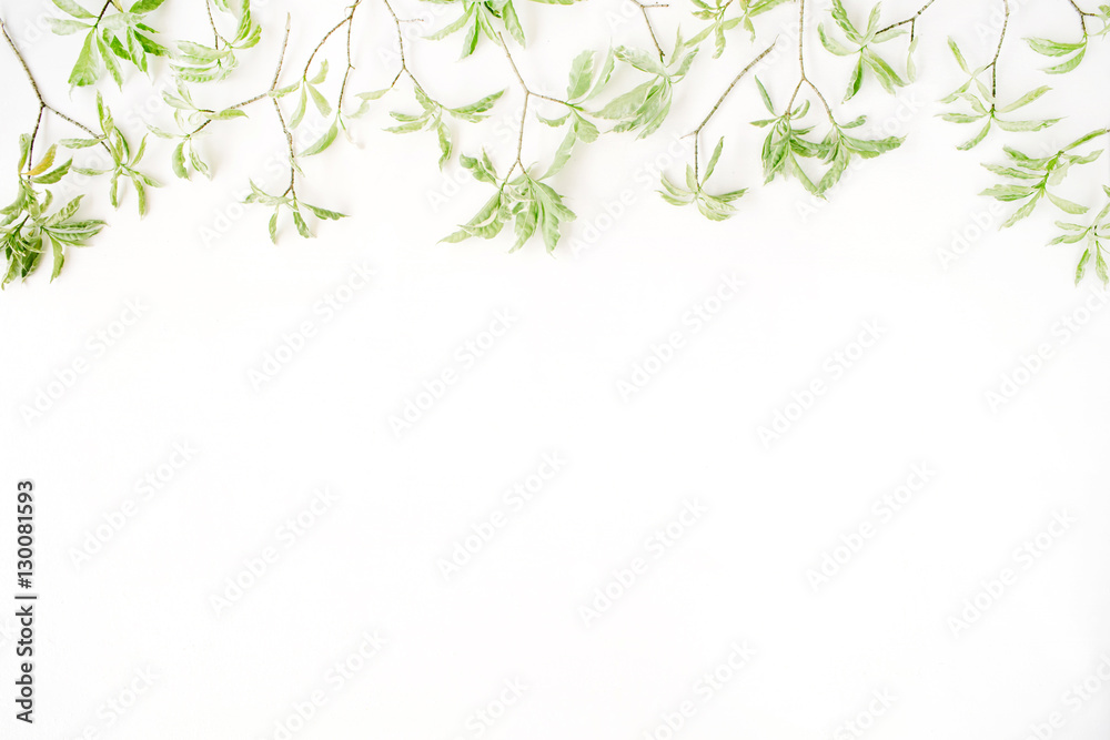 green leaf pattern on white background. flat lay header green leaf pattern on white background. flat lay header
