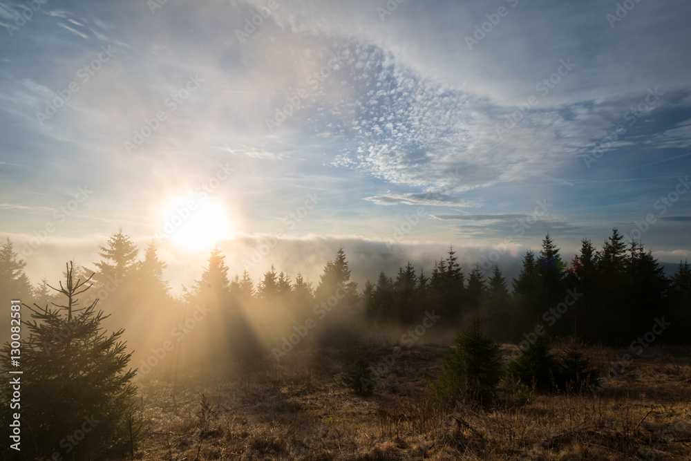 Obraz premium Sonnenuntergang in Deutschland