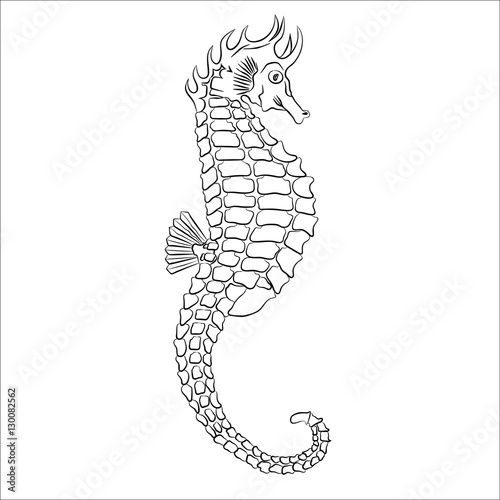 Vector image of a seahorse
