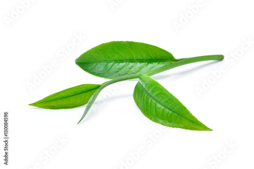 Green tea leaf with drops of water on white background
