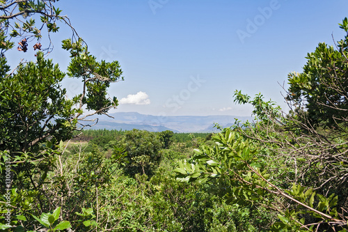 View from God s Window along the Blyde River Canyon  Mpumalanga  South Africa