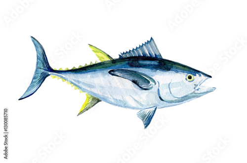 Watercolor Tuna fish isolated on a white background illustration.