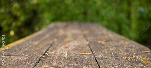 old wooden surface with a green background