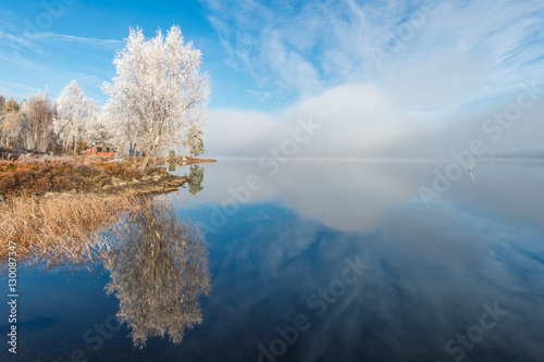 Winter Frost Tree Lake with Blue sky photo