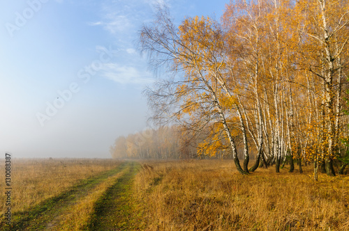 Осенний пейзаж с видом дороги вдоль леса с пожелтевшей листвой утром в тумане 