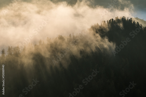 Morning mists illuminated by the sun in morning Pieniny mountains  Poland