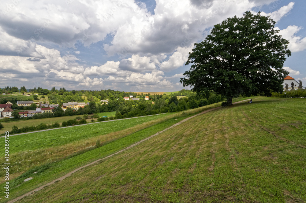 Sloping green land with a single green tree in between Sloping green land with a single green tree in between