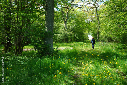 Walking at a green footpath