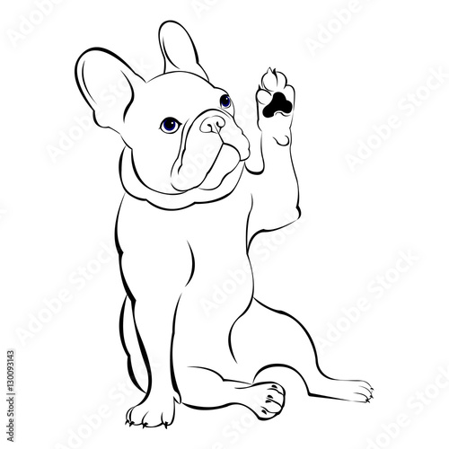 dog, vector, breed, cute, pet, animal, bulldog