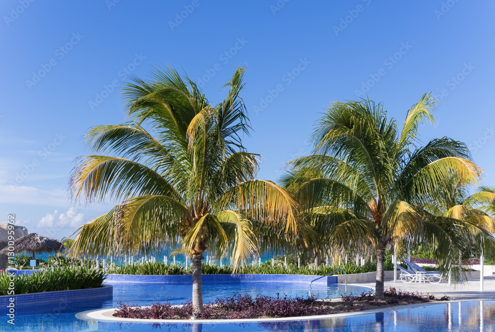 Sonnenliege am Pool mit Palmen in Kuba - Serie Kuba 2016 Reportage