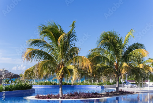 Sonnenliege am Pool mit Palmen in Kuba - Serie Kuba 2016 Reportage © mabofoto@icloud.com