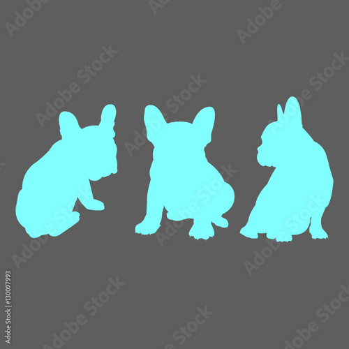 dog vector breed pet animal bulldog french