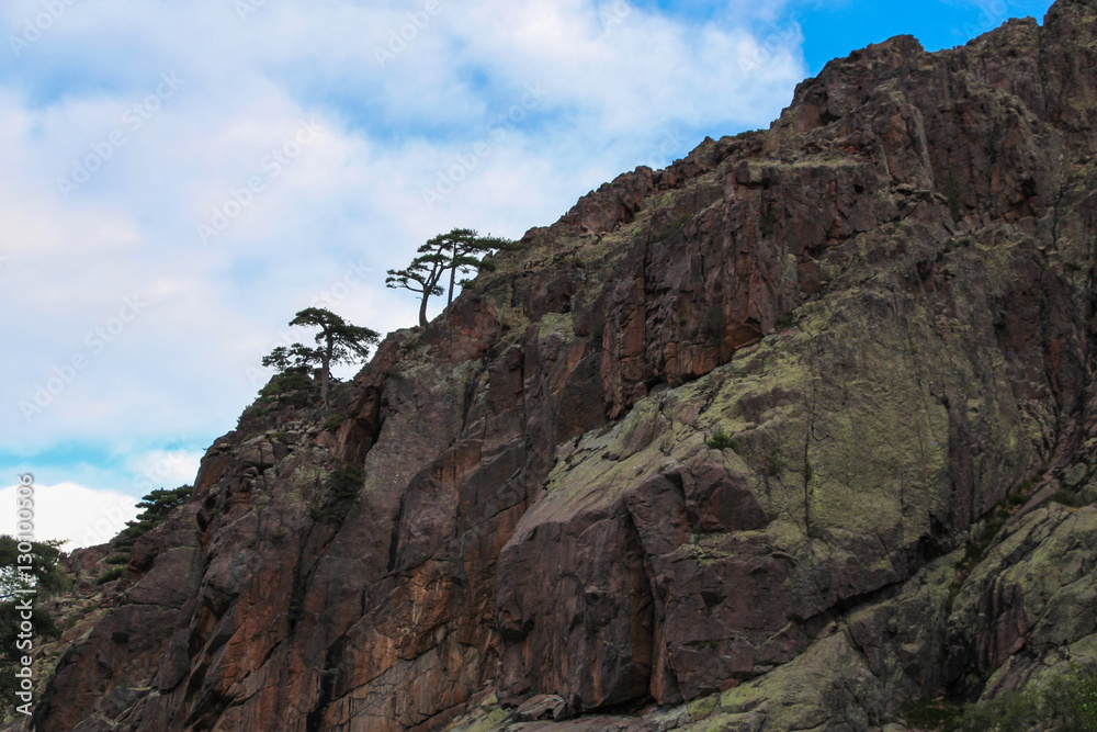 Close up of a mountain.