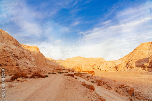 the landscape of Negev desert photo