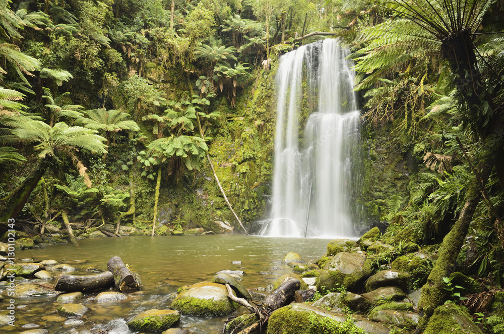 Beauchamp Falls, Great Otway National Park, Victoria Beauchamp Falls, Great Otway National Park, Victoria