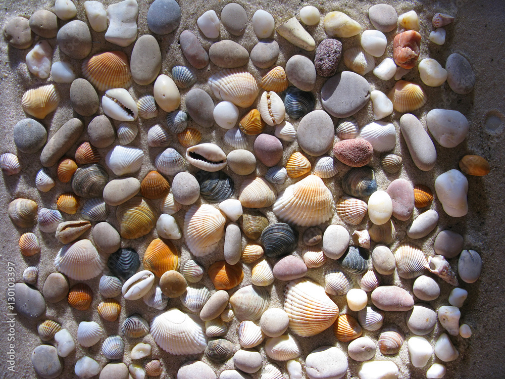Small seashells and stones. Pattern.

