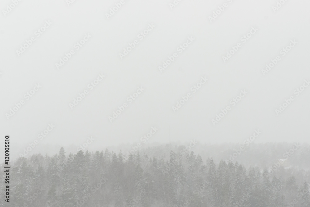 Snow covered winter landscape during snowfall Snow covered winter landscape during snowfall