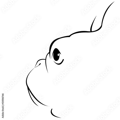 bulldog, dog, animal, french, vector, illustration, pet