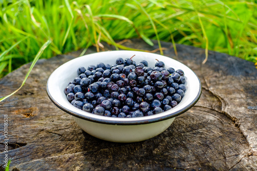 Dish of ripe blueberries on the old stump