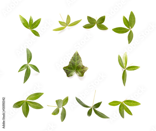 Background With Green Leaves