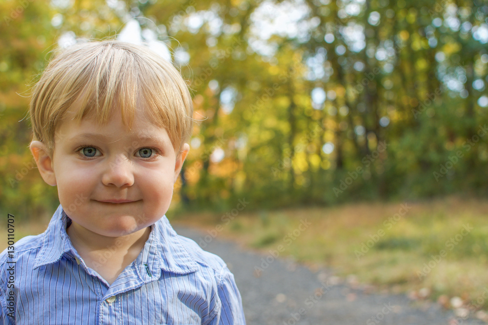 adorable toddler boy walking in park during fall autumn season adorable toddler boy walking in park during fall autumn season