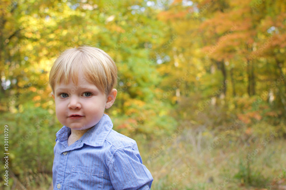 adorable toddler boy walking in park during fall autumn season adorable toddler boy walking in park during fall autumn season