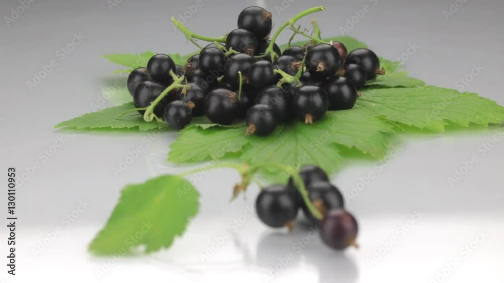 Closeup black currant on a background made of black currant. Closeup black currant on a background made of black currant.