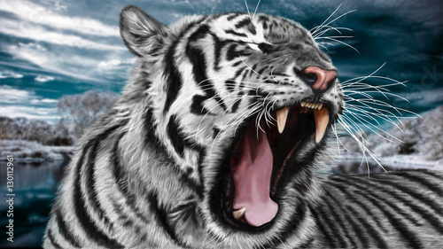 Sibirian paintin white wild tiger. photo