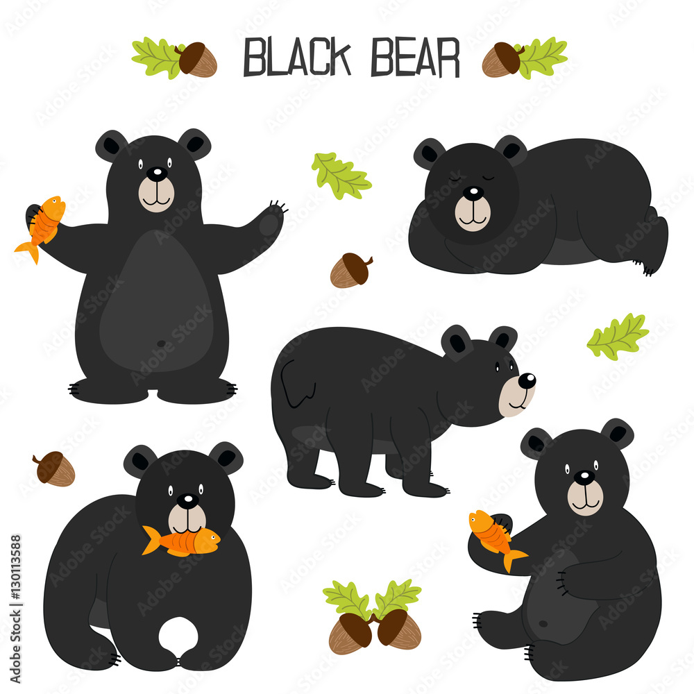 Obraz premium set of isolated black bear - vector illustration, eps
