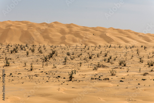 outdoor sand pattern dune oman old desert rub al khali