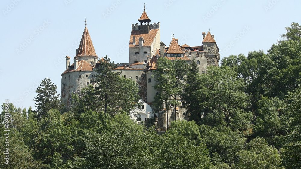 Fototapeta premium Bran castle,Romania