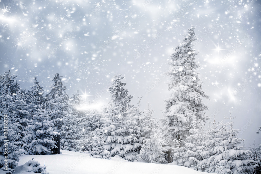 Fototapeta premium Winter landscape with snowy fir trees