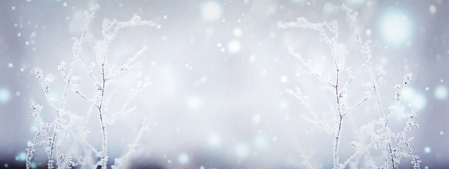 Tableau sur plexiglas Hiver Fleur givrée dans un décor hivernal blanc  © Volha Zaitsava