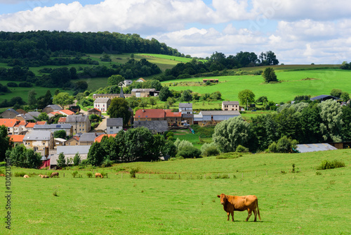 Ardennes. Brown cow in field with small village of Couvreux. Ardennes, Belgium.