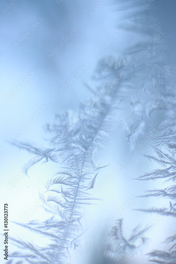 tracery of hoar on window. winter miracle tracery of hoar on window. winter miracle