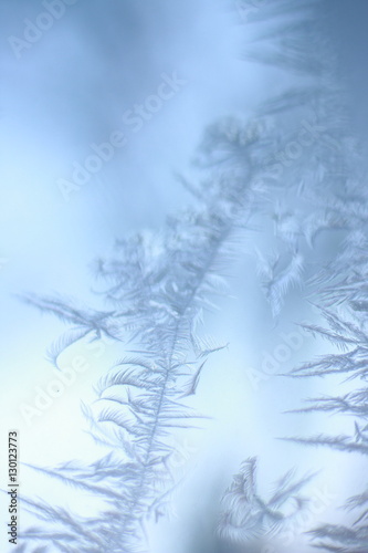 tracery of hoar on window. winter miracle