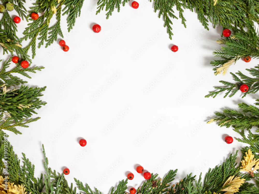 Christmas background border with evergreen fir tree and berries Christmas background border with evergreen fir tree and berries