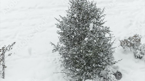 White snow falls on Christmas tree