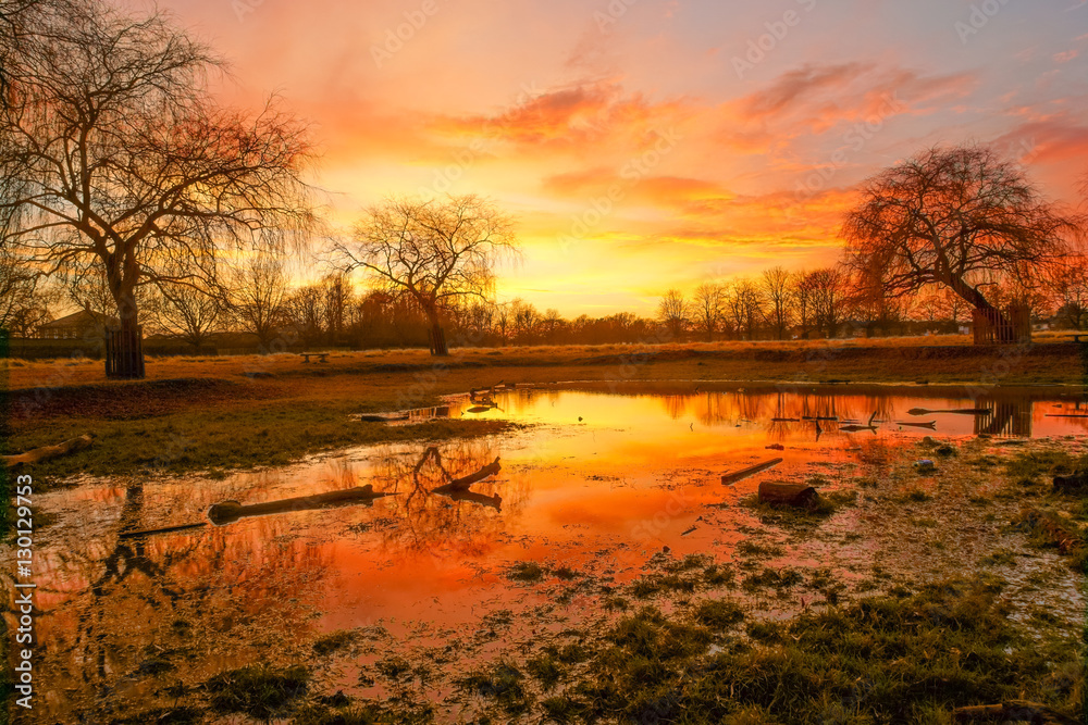Sunset at Hampton Hill Pond, Bushy Park, UK