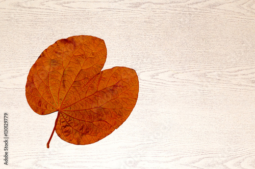leaf on wooden,gold leaf color on wooden desk