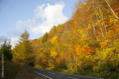 岩手県雫石町の紅葉