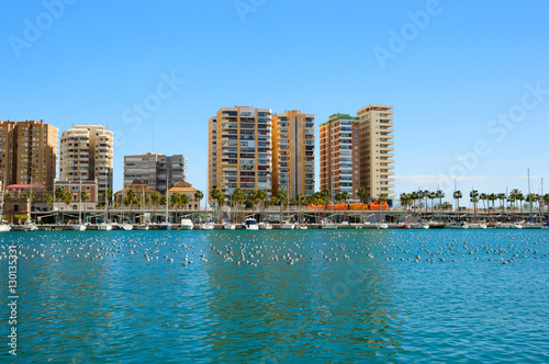 Malaga port with yachts, boats and birds on water