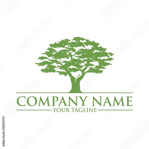 Simple And Modern Green Oak Tree Logo