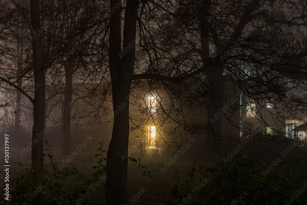 fog in a city park fog in a city park