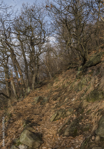 Path near hill Milesovka in winter