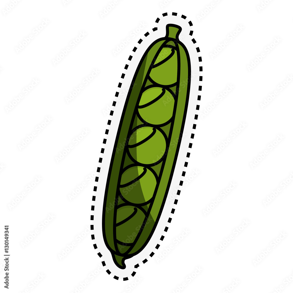 fresh vegetable with cut line isolated icon vector illustration design fresh vegetable with cut line isolated icon vector illustration design